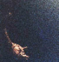 4220454.jpg