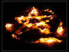 7cde7533c9_13347297_t1.jpg