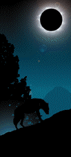 12799872.gif